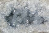 Blue Celestine (Celestite) Crystal Geode ( lbs) #74680-2